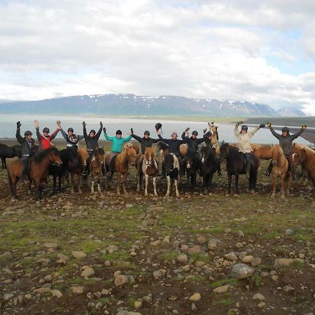 Icelandhorsetours - Helluland Saudarkrokur ภายนอก รูปภาพ