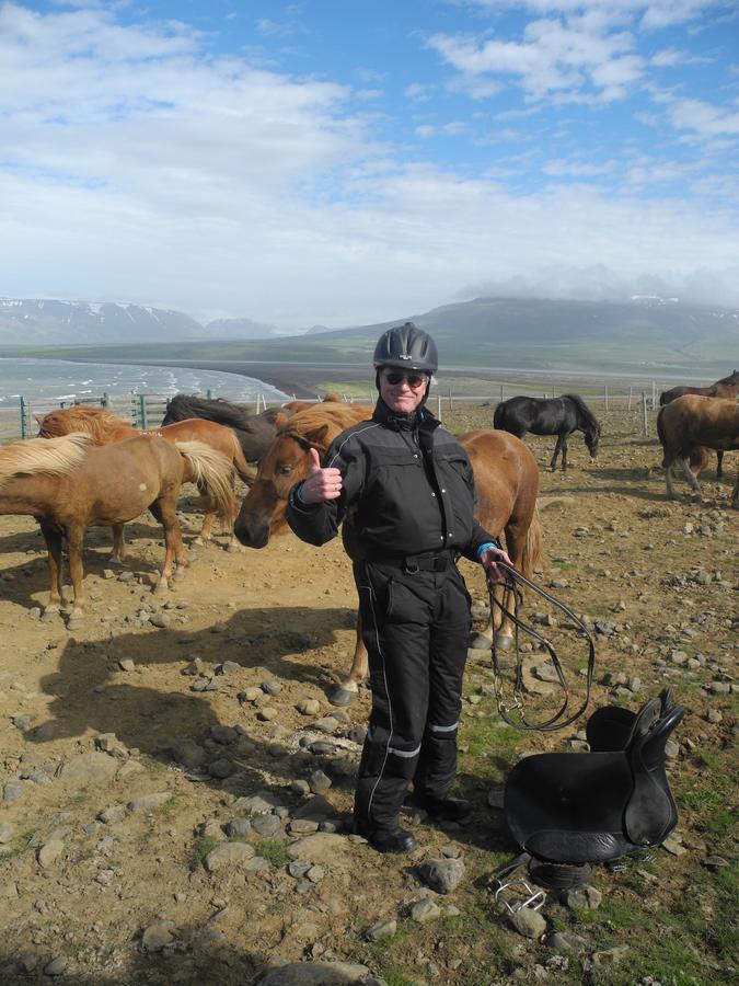 Icelandhorsetours - Helluland Saudarkrokur ภายนอก รูปภาพ