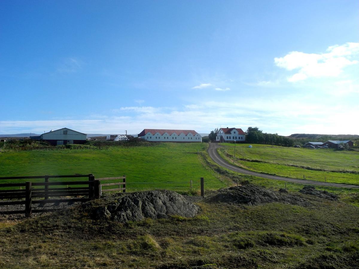 Icelandhorsetours - Helluland Saudarkrokur ภายนอก รูปภาพ