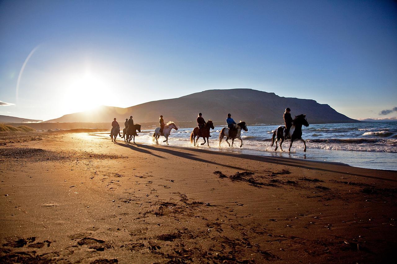 Icelandhorsetours - Helluland Saudarkrokur ภายนอก รูปภาพ
