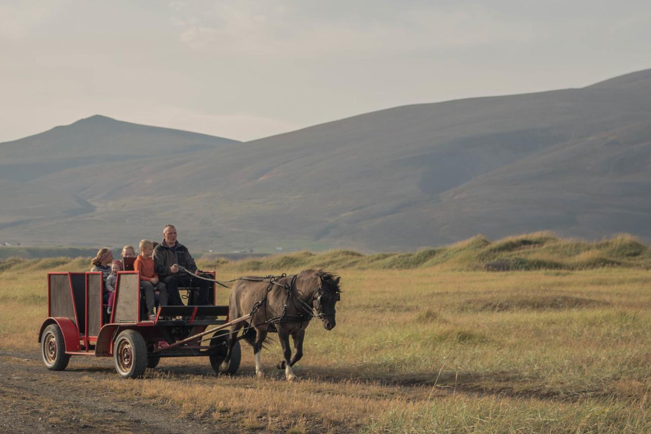 Icelandhorsetours - Helluland Saudarkrokur ภายนอก รูปภาพ